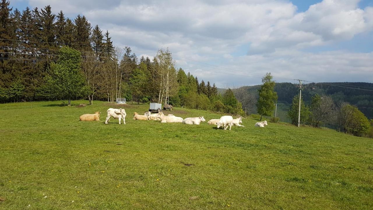 Apartmán Rokytnice, Rokytno 20 Rokytnice nad Jizerou Exterior foto